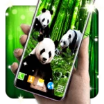 panda parallax wallpapers android application logo